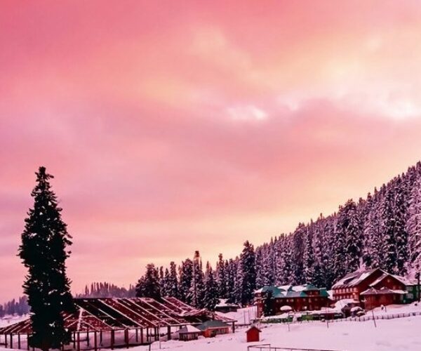 Kashmir Gulmarg Tour