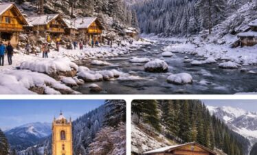 Shimla Manali Trips, PMT Travels